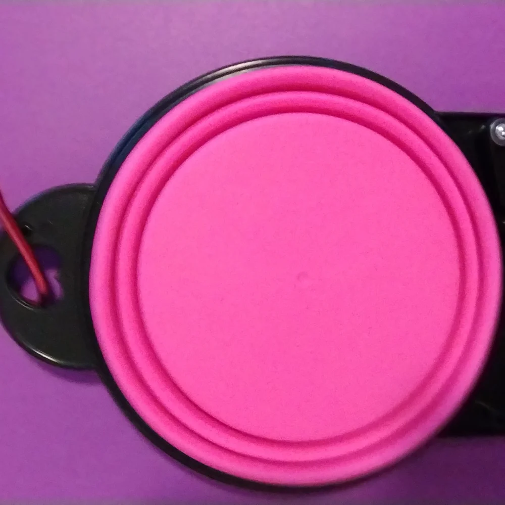 Collapsible double pet bowl